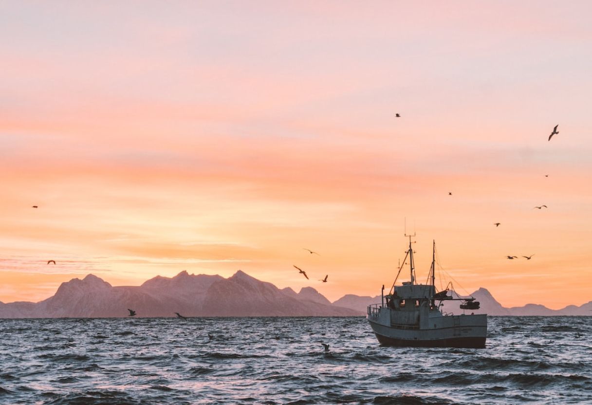 Dénicher le meilleur bateau de pêche d'occasion