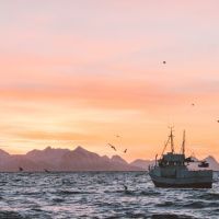 Dénicher le meilleur bateau de pêche d'occasion