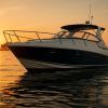 Combien coûte un bateau à moteur 10m ?